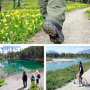 Bed & Breakfast Monarch Canmore Exteriör bild